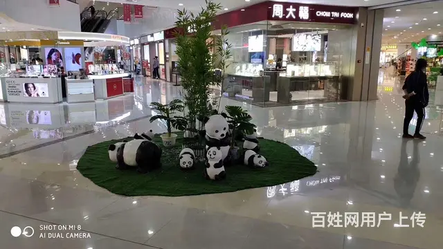绍兴动物卡通展出租 玻璃钢动物展厂家 - 图片 8