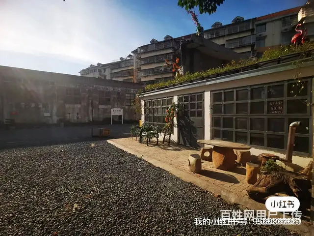 百万富翁孵化地 - 图片 7