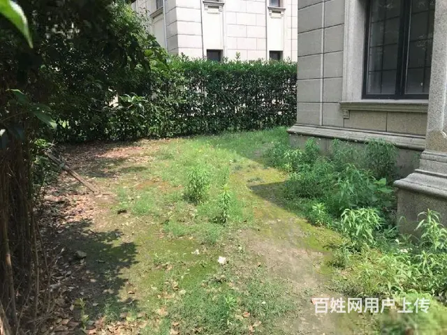 新出500平花园金新鼎邦别墅DU家有钥匙含博小和北 - 图片 1