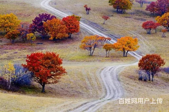 克旗经棚镇出租车摄影旅游 - 图片 3