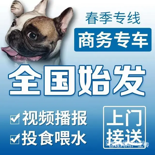 推荐） 张掖宠物托运到全国）（猫狗）邮寄快递（宠物活体运输） - 图片 2