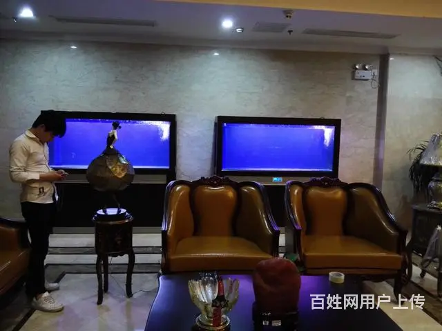 专业清理大型鱼缸，零售鱼食鱼药，鱼缸，各类观赏鱼 - 图片 4