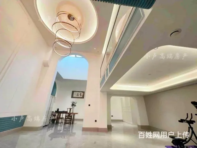 外滩首 府下叠 一带二挑空客厅 现代轻奢 带花园双车位 - 图片 1