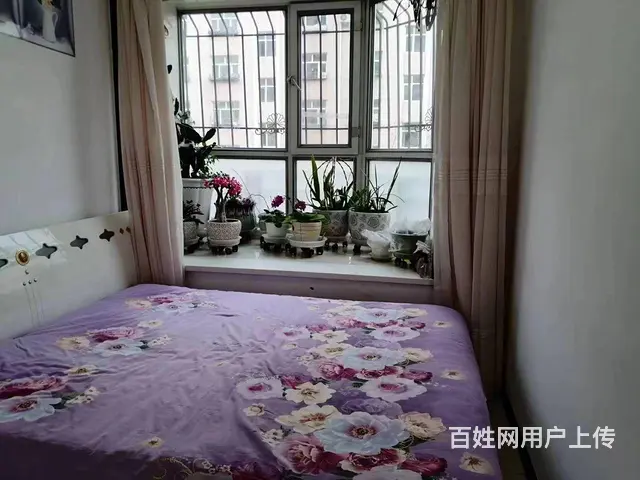 卖十小十中学区房 - 图片 2