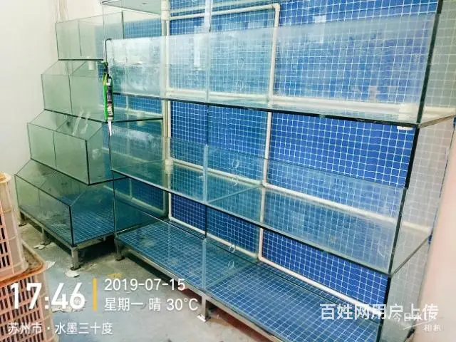 定做海鲜缸 - 图片 3
