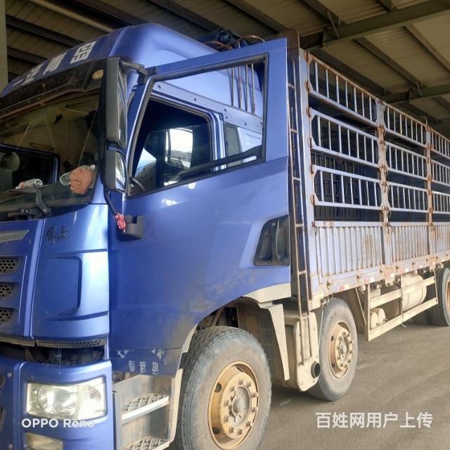 出售,一汽青岛解放捍v260,7.7米.16年末的图片