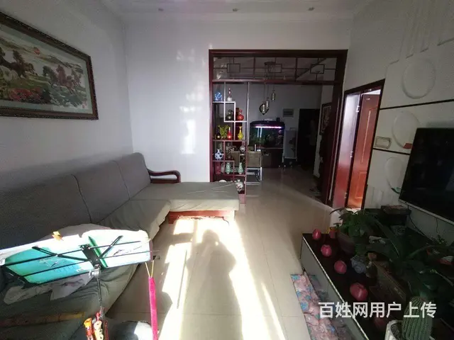 老体育馆对面 中弘名都城 11楼 南户，采光好 - 图片 5