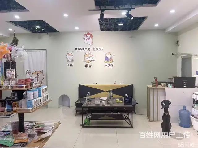 国奥现代城宠物店出兑可空兑适合各类生意： - 图片 4