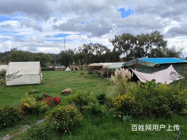 4251（爆铺网）50亩露营地转让(租金5万一年) - 图片 1