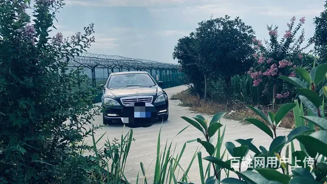 奔驰S-Class [S级](进口) 2010款 S 600 - 图片 5