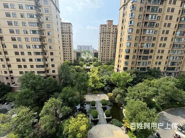 示范区 实验小学 百大嘉苑 电梯房7楼 楼王 - 图片 1