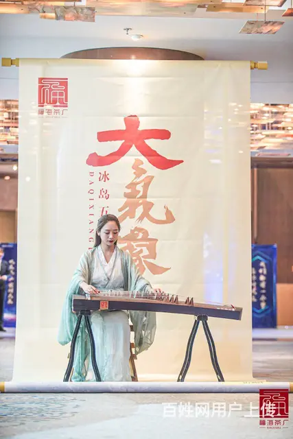 沈阳演艺演出团队表演 - 图片 3