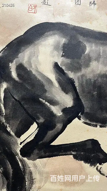 徐悲鸿回流马作品多题跋 画心127.5-65 - 图片 5