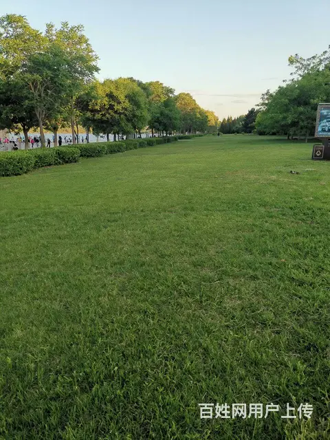 八里铺豪德西城华府幸福里 - 图片 2