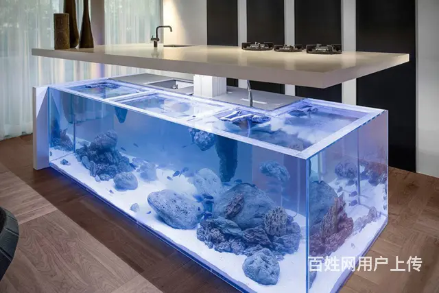 苏州玻璃鱼缸定做定制养护公司电话 - 图片 1