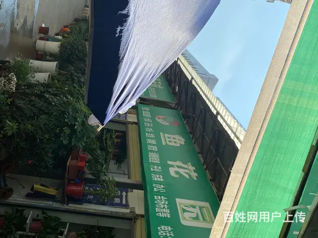 襄樊金鱼，鱼缸，热带鱼零售批发 - 图片