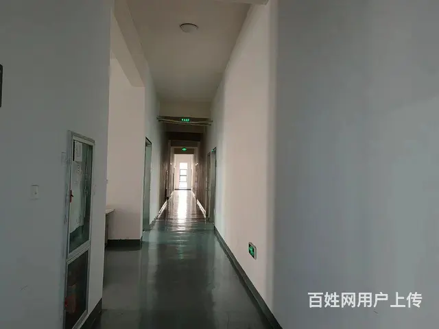 港南路厂房、仓储、实验室、无尘车间、办公商务、天猫（可分割） - 图片 1