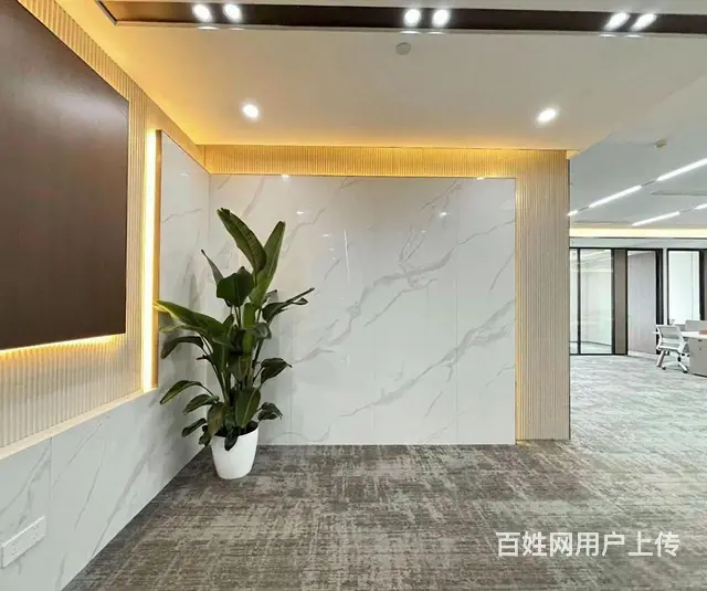 滨江头部电商直播运营中心，5个大直播间16人工位，边 - 图片 12