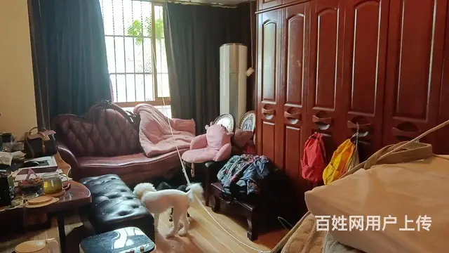 田林苑 普通住宅 精装修 - 图片 5