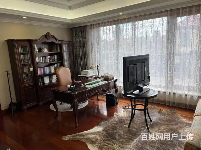 盛和天下双拼前深大院  精装修 高端大气拎包即住 双车库 - 图片 3