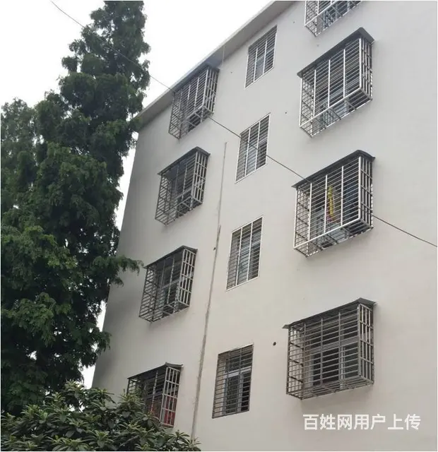 龙潭二小区 平房1厅 中等装修 - 图片 1
