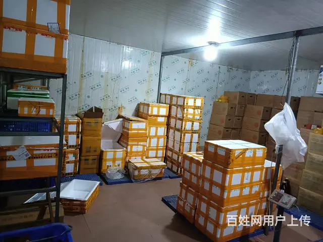 （51旺铺推荐）凤凰镇4000平厂房出租 - 图片 9