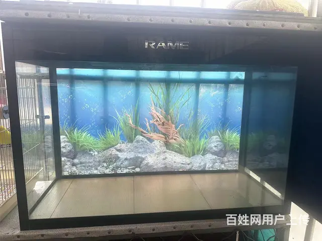 鱼缸 - 图片 2