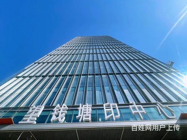 尾盘出售 单价仅1.1万 准现房 金沙湖旁 月底送两个车位 - 图片 12