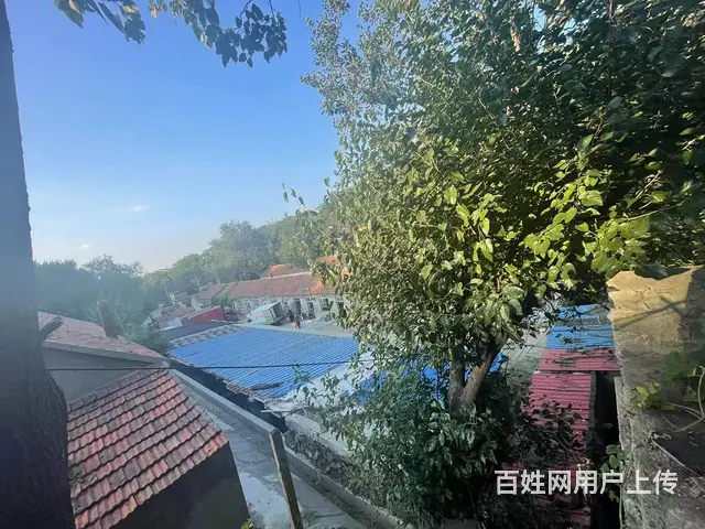 市区水产批发市场附近独门独院厂房仓库出租 - 图片 2