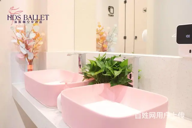 珠海舞蹈芭蕾舞成人舞蹈芭蕾舞培训 - 图片 8
