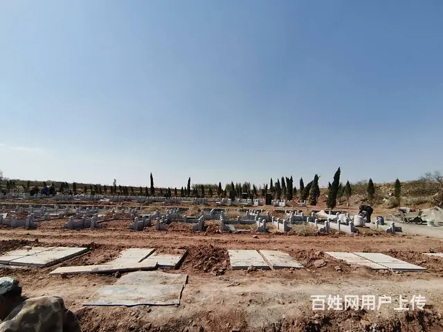出售二手输送带、传送带和辊筒 - 图片 11