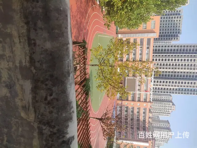 1045文化路小学西门房东直租空置中 - 图片 4