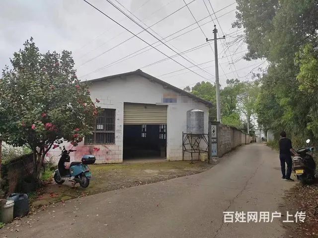 （老板本人）开福区捞刀河马路边冻库/仓库房东直租，可分租 - 图片 1