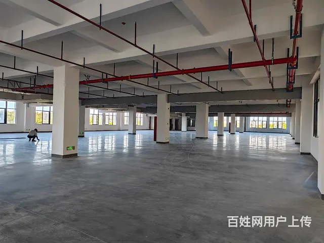 出租晋江英林12000方服装厂房价格优惠政府园区 - 图片 6