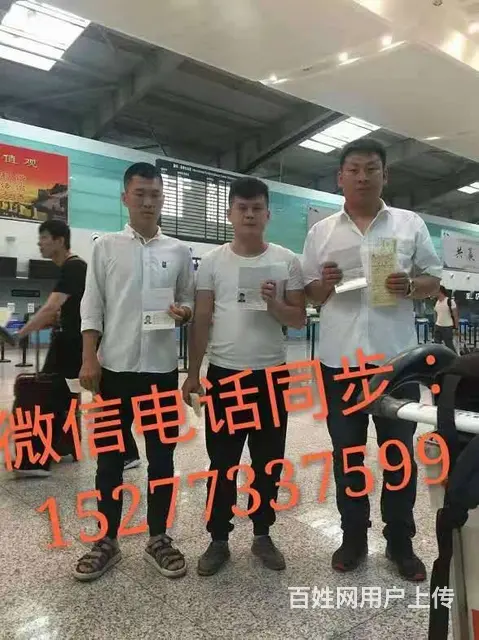 没有人脉/没有学历月收入20000以上 - 图片 4