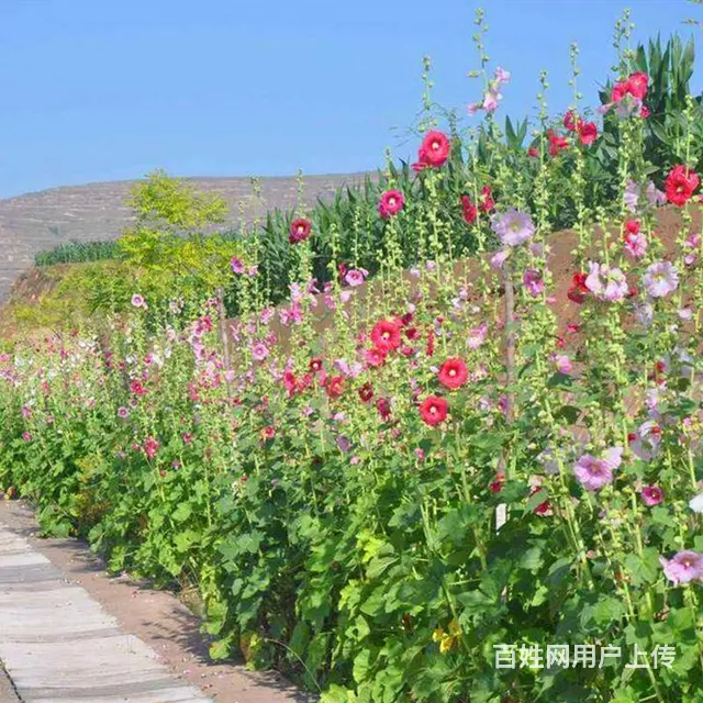 开封市水利资质转让办理，郑州市地基一转让过户 - 图片 5