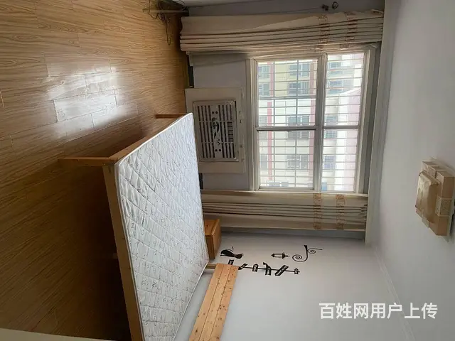 临西三路百合园小区3室厅精装修首次出租850元 - 图片 3