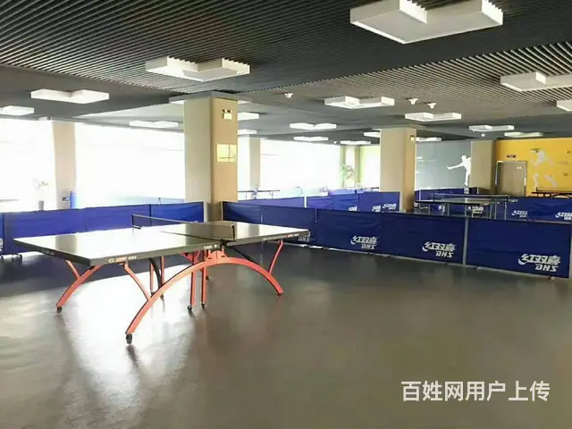 浑南丨软件园丨580平丨花园办公纯写丨沈本大道丨可租可售 - 图片 4