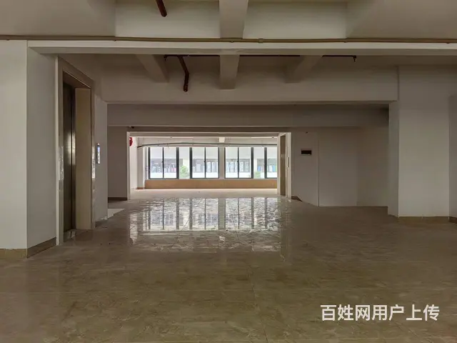 （51旺铺推荐）林安国际商贸城400平整栋楼岀租 - 图片 2