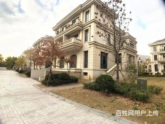梦世界联排别墅低于市场价1000万 商场0距离 地铁口0距离 - 图片 2