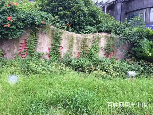 杭州滨江_春波南苑_1室0厅1卫 - 图片 12