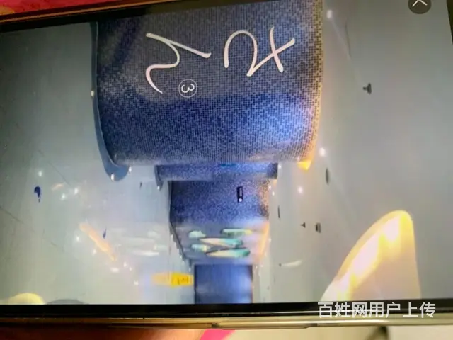 CBD游泳馆门票 - 图片 4