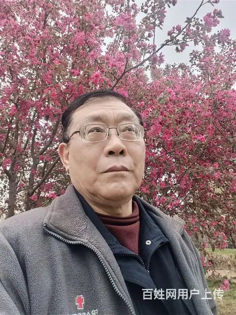 寻找有缘人 - 图片