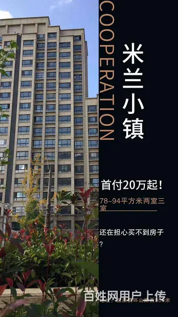 威海江家寨米兰小镇带电梯小高层毛坯新房 - 图片 1