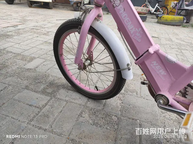 【搞定了！】女童自行车 - 图片 1