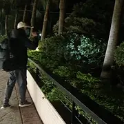 开封专业找猫团队大概多少钱，专业找猫寻狗团队来帮你