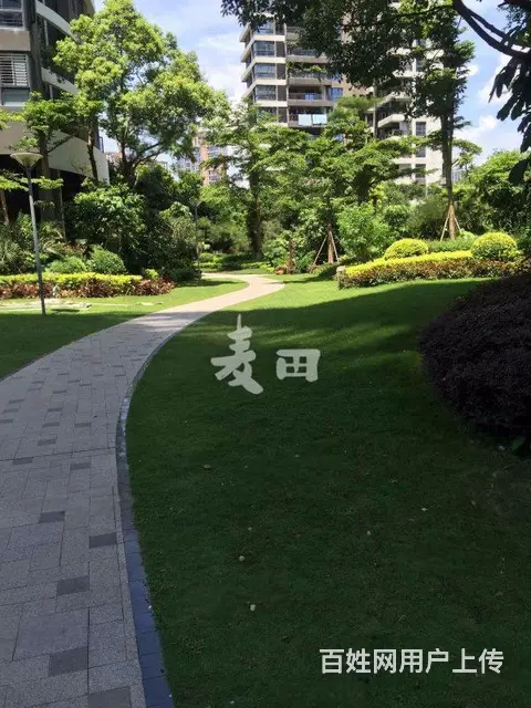抢租！全新家电家具，必看便宜，海峡国际二期  三房只此一套 - 图片 12