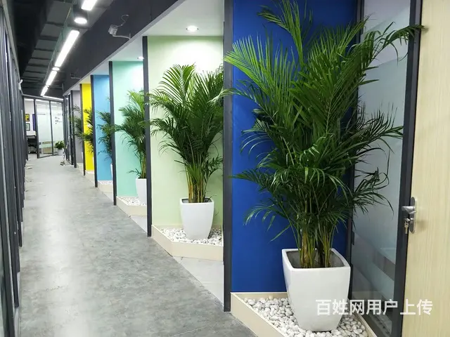 开发商直租五一商圈！网红楼盘！10人团队，拎包办公！地铁口， - 图片 10