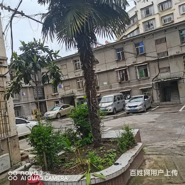 凉山州邮电局 普通住宅1厅 精装修 - 图片 5