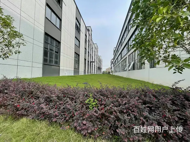 中南高科医疗健康科创谷 - 图片 8